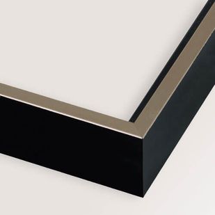 Black & Silver frame