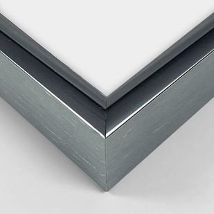 Metal Frames frame