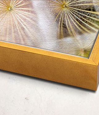 Canvas float frame.