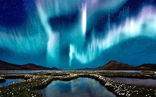 Starry Sky Print on Metal
