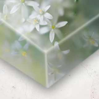 Canvas Floaters